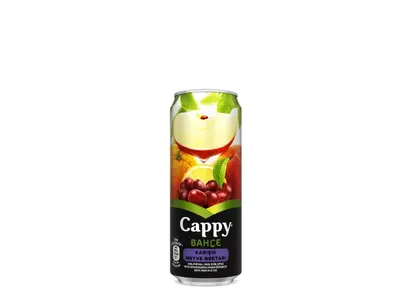 Cappy Karışık 33 cl.