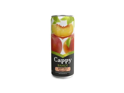 Cappy Şeftali 33 cl.