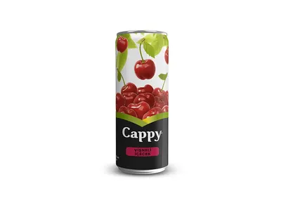 Cappy Vişne 33 cl.